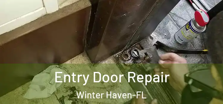  Entry Door Repair Winter Haven-FL
