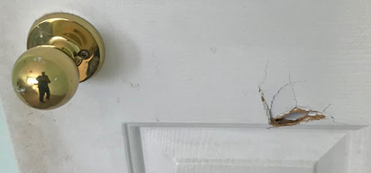 interior door hole repair Winter Haven