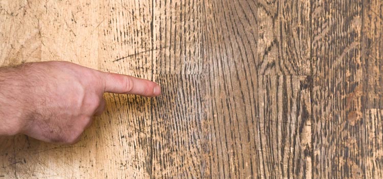 Wood Door Scratch Repair in Winter Haven